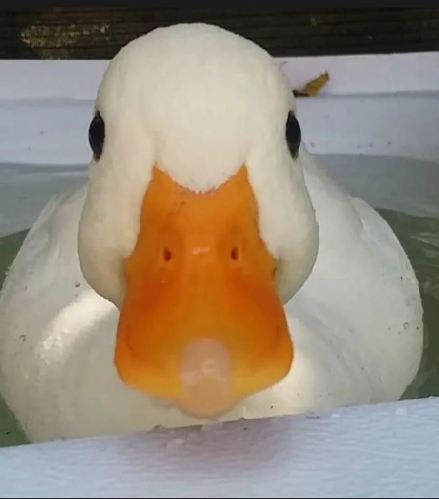 Profil von Batoura, 44 Jahre, Gay in Pessin (Brandenburg)